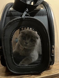 Сумка переноска mini Pet прозора для домашніх тварин (кішок, собак, кроликів і ін.) (Код: IBH010B) фото від покупців 1