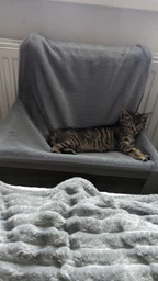 Гамак для котів на радіатор (підвісний) Мур-Мяу Сірий фото від покупців 6