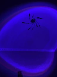 Проекційний світильник Sunset Lamp RGB 16 кольорів з пультом на штативі: USB проектор заходу сонця, атмосферна LED лампа фото от покупателей 9