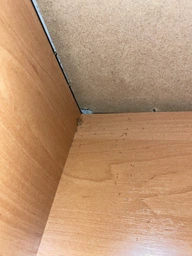 Засіб від Мурах Terro Ant Killer Killer ll T200. Тюбик 60мл. Терро від мурах. Знищує колонію фото від покупців 3
