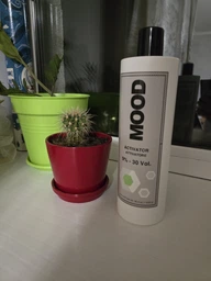 Окислительная эмульсия для окрашивания волос с Алоэ 9% 30 Vol Mood Activator, 1000 мл