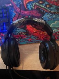 Навушники Razer Kraken X Lite (RZ04-02950100-R381/R3M1) фото від покупців 10
