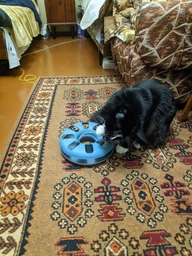 Іграшка для котів трек ігровий з мишкою Trixie Crazy Circle 24*29 см фото від покупців 19