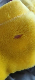 Кигуруми для девочки пижама детская и подростковая Kigurumi Пикачу Покемон Желтый 145-155 см. (2010)