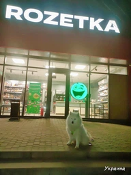 Повідець Lucky Pet брезентовий шитий червоний (4820224214528) фото від покупців 3