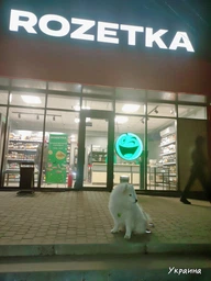 Повідець Lucky Pet брезентовий шитий червоний (4820224214528) фото від покупців 2
