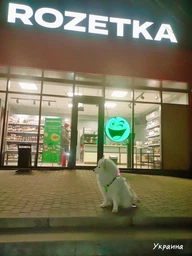 Повідець Lucky Pet брезентовий шитий червоний (4820224214528)