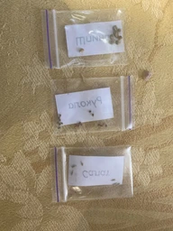Подарочный набор для выращивания растений Экокуб Grow Box Nevet "Фито" (003002) фото от покупателей 2