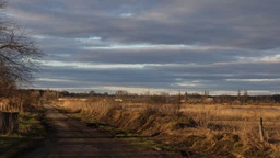 Дзеркальний фотоапарат Canon EOS 2000D Kit EF-S 18-55mm f/3.5-5.6 DC III (2728C007) [83687]