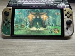 The Legend of Zelda: Breath of the Wild (Switch) Русская версия