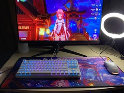 Игровая поверхность WorkPlaceShop Genshin Impact Яэ Мико 300х500 мм фото от покупателей 6