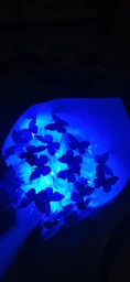 Гірлянда роса на батарейках мідний провід 20 Led Strip String Red фото от покупателей 1