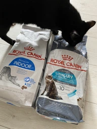 Сухой корм для кошек профилактика мочекаменной болезни Royal Canin Urinary Care , 2 кг фото от покупателей 2
