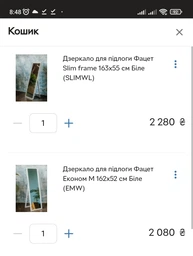 Дзеркало підлогове Фацет Slim frame 163x53 см Чорне (SLIMBLL)