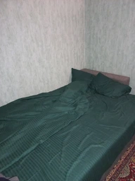 Комплект постельного белья Lelit Полуторный 150х215 см Изумрудный Страйп сатин SS-3004/1 (le2000000151670) фото от покупателей 7