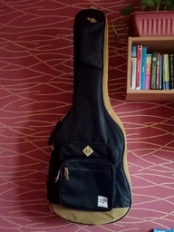 Чехол для акустических гитар Ibanez IAB541 WR