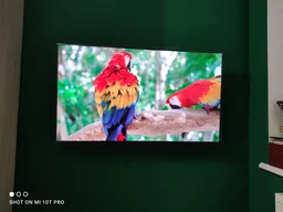 Телевізор TCL 50C805