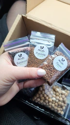 Набір для вирощування мікрозелені Panda microgreen на 7 врожаїв (ТОП 7 видів культур) фото от покупателей 16