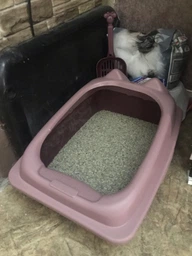 Туалет для кішок з лопаткою Taotaopets 268802 лоток для котів 40*30*20 cm Pink