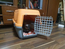 Переноска для кошек и собак Animall CNR-134 58х42х42 см Серо-оранжевая (2000981203641) фото от покупателей 10