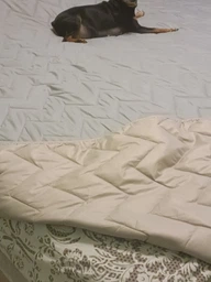 Покривало Sleepingg Bodi двостороннє 240х260 Антиалергенне волокно зі стібкою Сталь/Сіре (4820227286164) фото від покупців 2