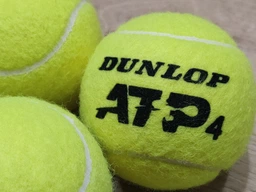 Тенісні м'ячі Dunlop ATP Official 4 ball
