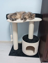 Котяча кігтеточка дряпка Венді 2 з будиночком для кота, кішки у хб канаті 70х60х40см біло чорна фото від покупців 1