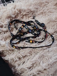 Повідець для собак Waudog Nylon NASA регульований 15 мм х 152-183 см (5351 Col) фото від покупців 1