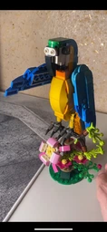 Конструктор LEGO Creator Экзотический попугай 253 детали (31136) фото от покупателей 5