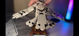 Конструктор Lego Harry Potter Букля 75979