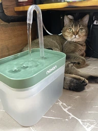 Автопоилка для кошек и собак Noxon AutoWater Clean 2в1 автоматическая поилка фонтан с фильтром и защитой от сухости + адаптер в подарок (NAW01) фото от покупателей 19