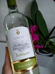 Вино Pirovano Terre Passeri Trebbiano IGT белое сухое 0.75 л 11% (8000013004745)
