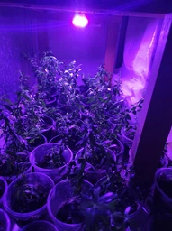 Фітолампа GreenHouse GR-28 з світильником-прищепка
