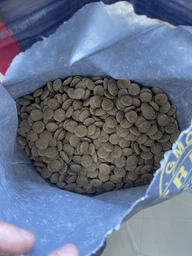 Сухой корм для взрослых собак больших пород Brit Premium Adult L 3 кг фото от покупателей 7