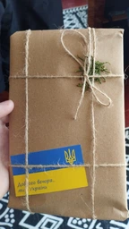 Ручка-кисть для прописывания иероглифов с чернилами