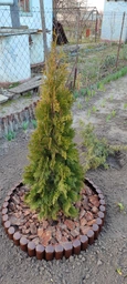 Бордюр садовий Garden BORDER, коричневий, 2,5 м