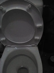 Сиденье - крышка для унитаза СИДАНИТ S-21 полипропилен коричневое фото от покупателей 2