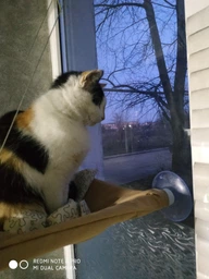 Лежанка оконная для кошки Sunny Seat Window Cat Bed (90202SN227)