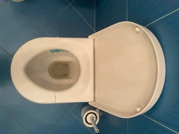 Сиденье - крышка для унитаза DURAVIT Starck 3 006389 микролифт фото от покупателей 4