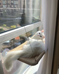 Лежанка для кота на окно подвесная гамак для кошки на присосках (ОL-152925)