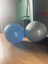 Мяч для фитнеса гимнастический, фитбол для беременных EasyFit EF-3007-V 65 см Фиолетовый (56001739) фото от покупателей 14