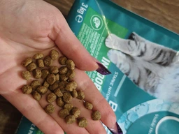 Сухий корм PURINA ONE Indoor для дорослих котів, що постійно перебувають у приміщенні, з індичкою 800 г (7613035468047) фото от покупателей 5