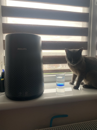 Очиститель воздуха PHILIPS AC0850/11 фото от покупателей 8