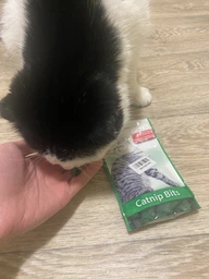 Подушечки Beaphar Catnip Bits с кошачьей мятой для кошек и котят 35 г (12623) (8711231126231)
