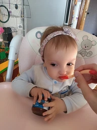 Дитяче пюре Gerber Чорнослив з 6 місяців 80 г (7613033513978) фото від покупців 18
