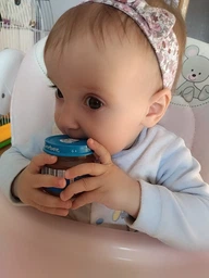 Дитяче пюре Gerber Чорнослив з 6 місяців 80 г (7613033513978) фото від покупців 17