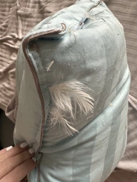 Подушка пуховая MirSon Extra Premium Valentino 103 50x70 см (2200000003546) фото от покупателей 4