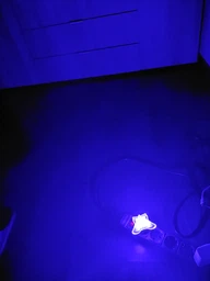 Ночник Lemanso Бабочка голубой 3 LED / NL101 фото от покупателей 1