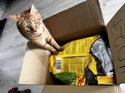 Сухой корм Josera Sensicat для кошек с чувствительным пищеварением 2 кг фото от покупателей 12