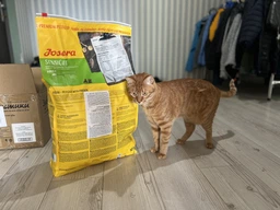 Сухой корм Josera Sensicat для кошек с чувствительным пищеварением 2 кг фото от покупателей 10